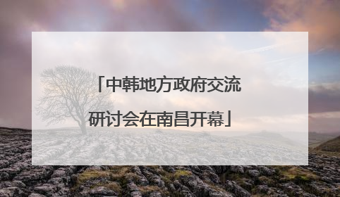 中韩地方政府交流研讨会在南昌开幕