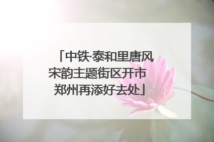 中铁·泰和里唐风宋韵主题街区开市 郑州再添好去处
