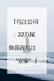 乌江公司：22万尾鱼苗在乌江“安家”