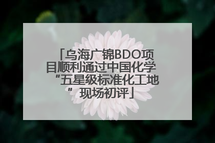 乌海广锦BDO项目顺利通过中国化学“五星级标准化工地”现场初评