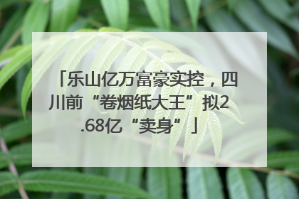 乐山亿万富豪实控，四川前“卷烟纸大王”拟2.68亿“卖身”