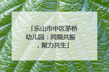 乐山市中区茅桥幼儿园：同频共振，聚力共生
