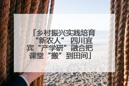 乡村振兴实践培育“新农人” 四川宜宾“产学研”融合把课堂“搬”到田间