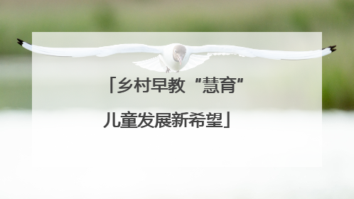 乡村早教“慧育”儿童发展新希望