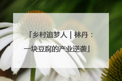 乡村追梦人｜林丹：一块豆腐的产业逆袭