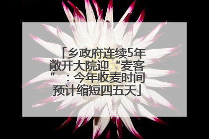 乡政府连续5年敞开大院迎“麦客”：今年收麦时间预计缩短四五天