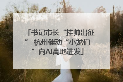 书记市长“挂帅出征” 杭州催动“小龙们”向AI高地进发