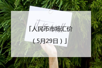 人民币市场汇价（5月29日）