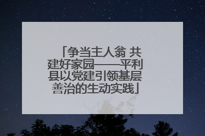 争当主人翁 共建好家园——平利县以党建引领基层善治的生动实践