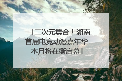 二次元集合！湖南首届电竞动漫嘉年华本月将在衡启幕
