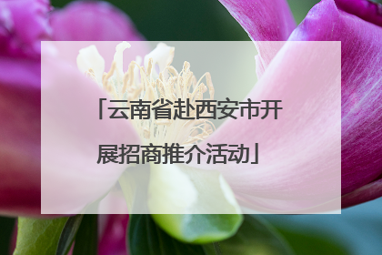 云南省赴西安市开展招商推介活动