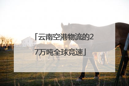 云南空港物流的27万吨全球竞速