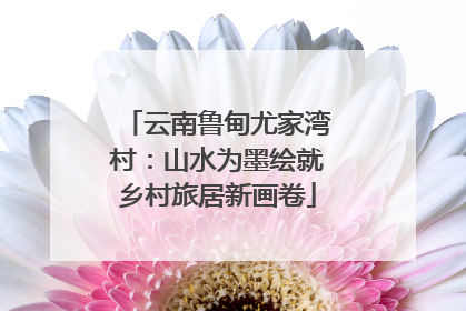 云南鲁甸尤家湾村：山水为墨绘就乡村旅居新画卷