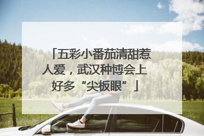 五彩小番茄清甜惹人爱，武汉种博会上好多“尖板眼”