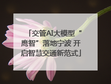 交管AI大模型“鹰智”落地宁波 开启智慧交通新范式