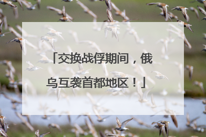 交换战俘期间，俄乌互袭首都地区！