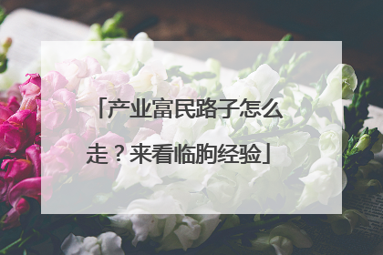 产业富民路子怎么走？来看临朐经验