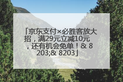 京东支付×必胜客放大招，满29元立减10元，还有机会免单！& 8203;& 8203