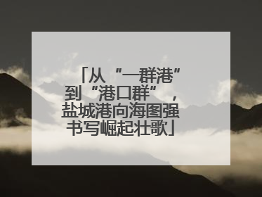 从“一群港”到“港口群”，盐城港向海图强书写崛起壮歌
