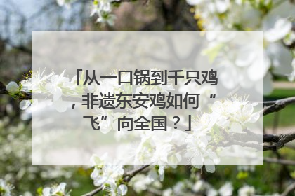 从一口锅到千只鸡，非遗东安鸡如何“飞”向全国？