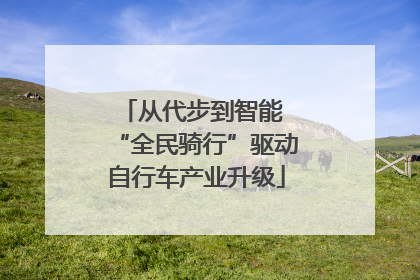 从代步到智能 “全民骑行”驱动自行车产业升级