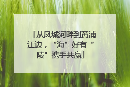 从凤城河畔到黄浦江边，“海”好有“陵”携手共赢