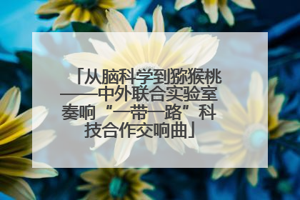 从脑科学到猕猴桃——中外联合实验室奏响“一带一路”科技合作交响曲