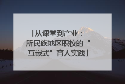 从课堂到产业：一所民族地区职校的“互嵌式”育人实践