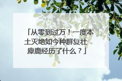 从零到过万！一度本土灭绝如今种群复壮 麋鹿经历了什么？