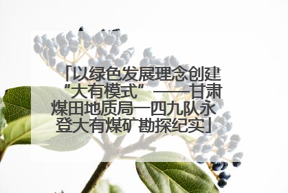 以绿色发展理念创建“大有模式”——甘肃煤田地质局一四九队永登大有煤矿勘探纪实