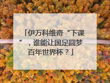 伊万科维奇“下课”，谁能让国足圆梦百年世界杯？