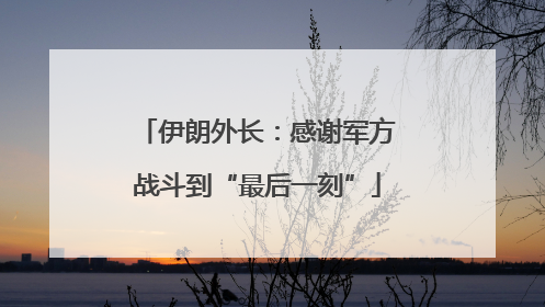 伊朗外长：感谢军方战斗到“最后一刻”