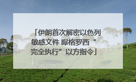 伊朗首次解密以色列敏感文件 曝格罗西“完全执行”以方指令