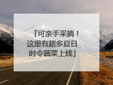 可亲手采摘！这里有超多夏日时令蔬菜上线
