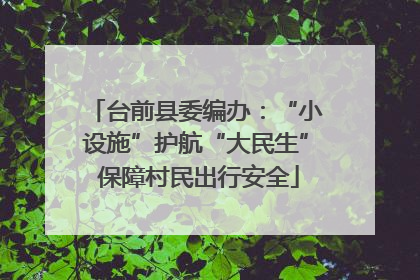 台前县委编办：“小设施”护航“大民生” 保障村民出行安全