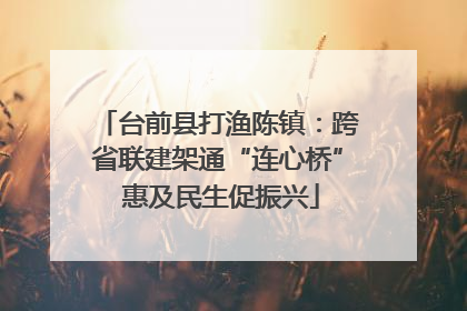 台前县打渔陈镇：跨省联建架通“连心桥” 惠及民生促振兴