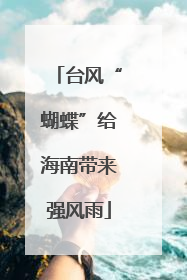 台风“蝴蝶”给海南带来强风雨