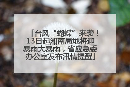 台风“蝴蝶”来袭！13日起湘南局地将迎暴雨大暴雨，省应急委办公室发布汛情提醒