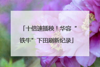 十倍速插秧！华容“铁牛”下田刷新纪录