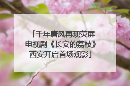 千年唐风再现荧屏 电视剧《长安的荔枝》西安开启首场观影