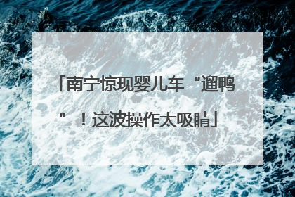 南宁惊现婴儿车“遛鸭”！这波操作太吸睛