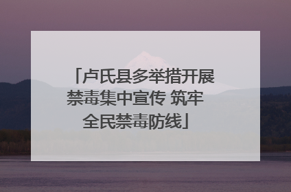 卢氏县多举措开展禁毒集中宣传 筑牢全民禁毒防线