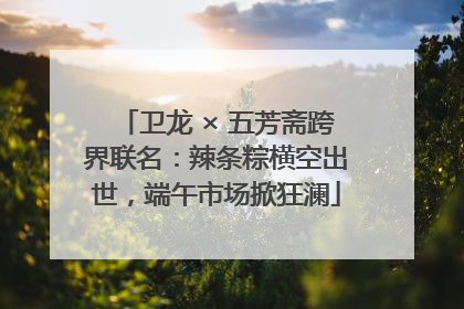 卫龙 × 五芳斋跨界联名：辣条粽横空出世，端午市场掀狂澜