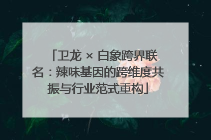 卫龙 × 白象跨界联名：辣味基因的跨维度共振与行业范式重构