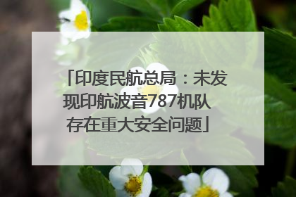 印度民航总局：未发现印航波音787机队存在重大安全问题