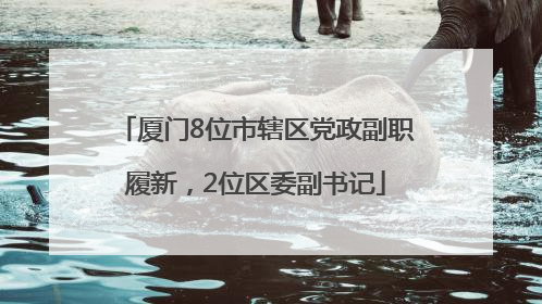 厦门8位市辖区党政副职履新，2位区委副书记