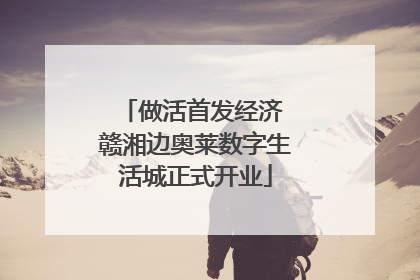 做活首发经济 赣湘边奥莱数字生活城正式开业