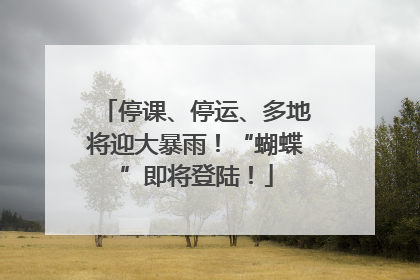 停课、停运、多地将迎大暴雨！“蝴蝶”即将登陆！
