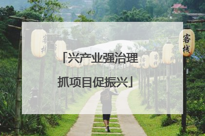 兴产业强治理 抓项目促振兴
