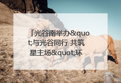 光谷南举办"与光谷同行 共筑星主场"环湖徒步活动 吸引500余名市民参与